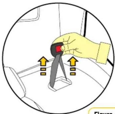 InfaSecure Momentum Onyx - Buckle Height Adjustment - 7