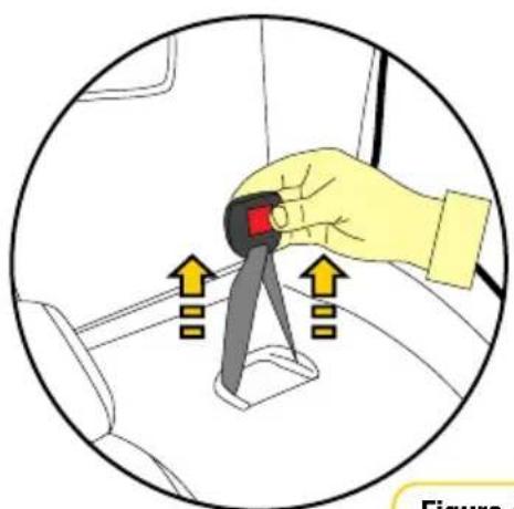 InfaSecure Momentum Onyx - Buckle Height Adjustment - 7
