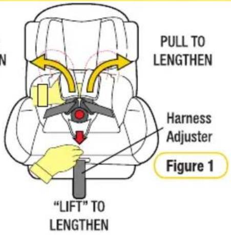 InfaSecure Momentum Onyx - Using Inbuilt Harness - 1