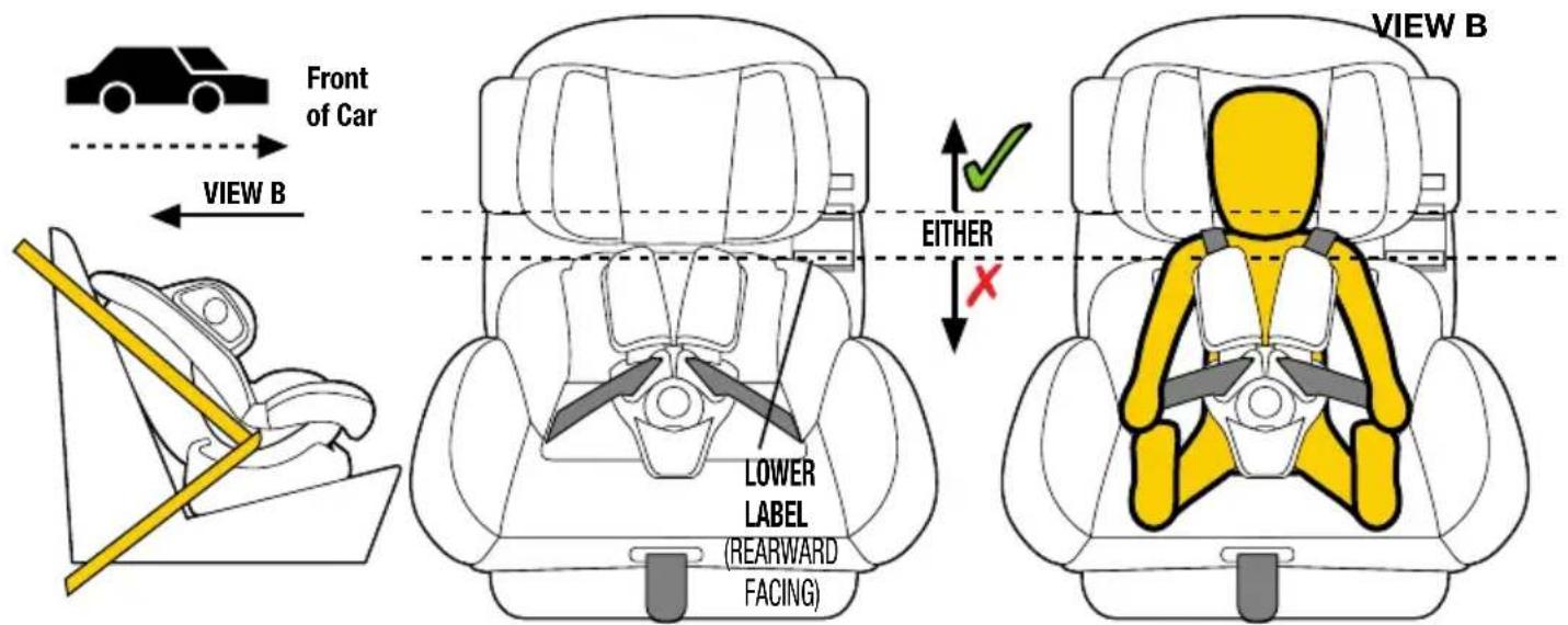 InfaSecure Momentum Onyx - Smaller Child (Using Inbuilt Harness) - 1
