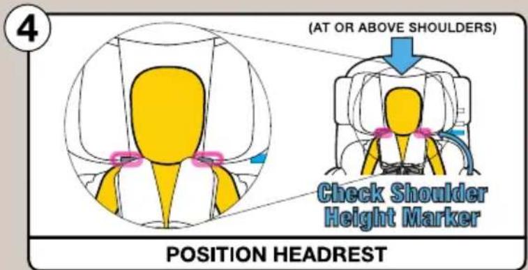 InfaSecure Momentum Onyx - Rearward Facing Mode Seat Belt Installation (Use For Infant) - 6