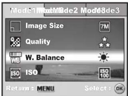 MINOX DC 7011 - Setting White Balance - 1