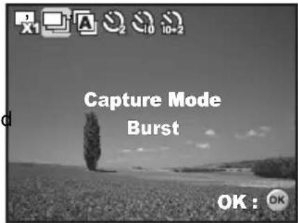 MINOX DC 7011 - Burst - 1