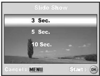 MINOX DC 7011 - Slideshow Display - 2