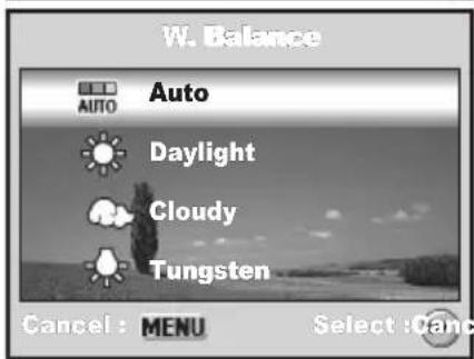 MINOX DC 7011 - Setting White Balance - 2