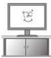 DoubleSight DS-305W - Safety Precautions - 15