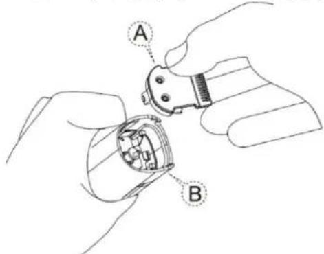 A B