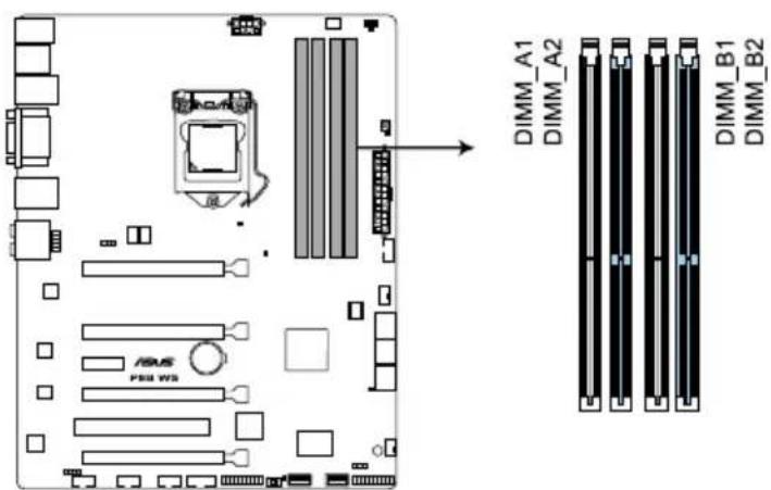 ASUS ESC500 - 概觀 - 2