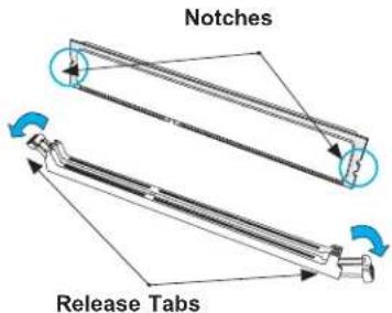 Notches Release Tabs