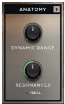 NATIVE INSTRUMENTS The Maverick - Anatomy Main Controls - 1
