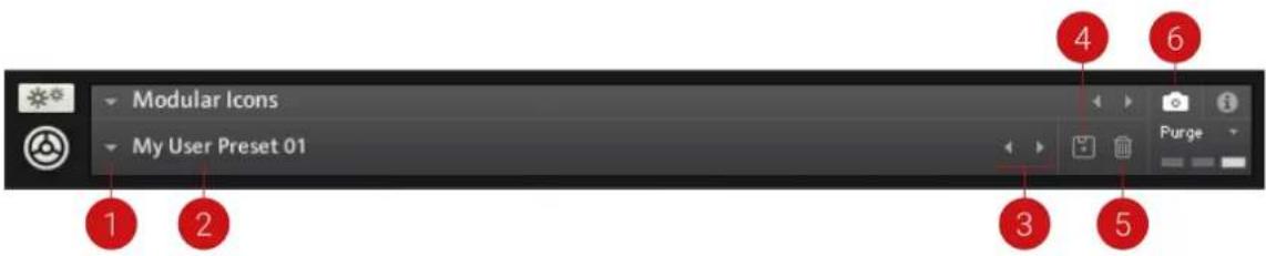 NATIVE INSTRUMENTS Modular Icons - Overview of Snapshots - 1