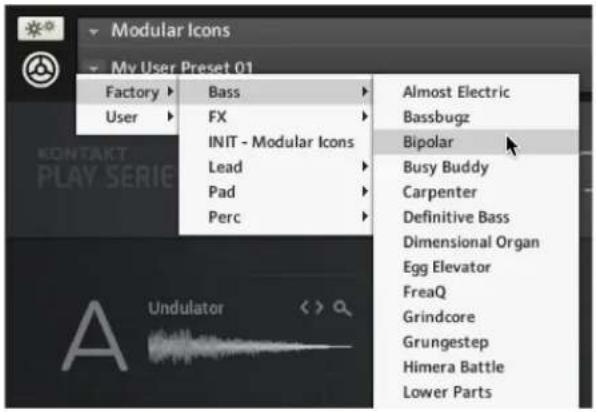 NATIVE INSTRUMENTS Modular Icons - Loading a Snapshot - 2