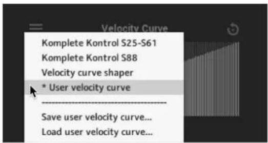 NATIVE INSTRUMENTS Modular Icons - Editing the User Velocity Curve - 1