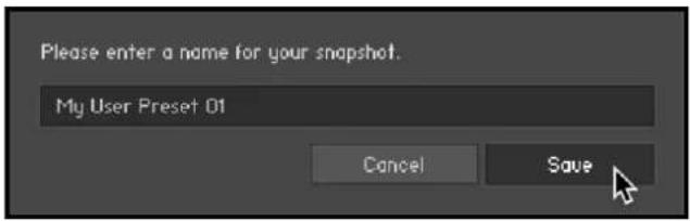 NATIVE INSTRUMENTS Modular Icons - Saving a User Snapshot - 1