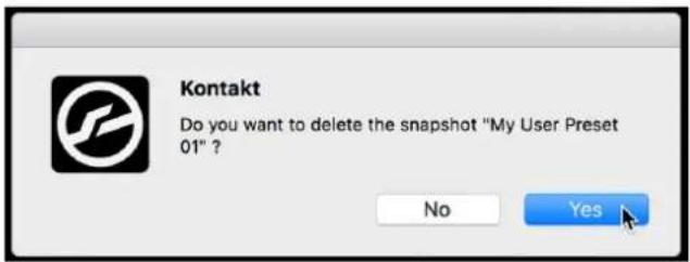 NATIVE INSTRUMENTS Modular Icons - Deleting a User Snapshot - 1