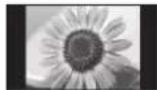 PANASONIC TH-65HZ2000U - Do not display any still part of the image for a long period - 1