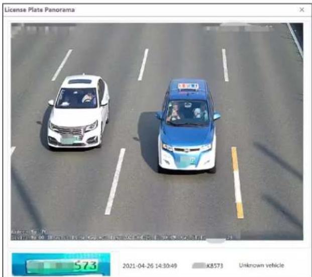 Speco Technologies O4BLP2M - Vehicle Data Search - 2