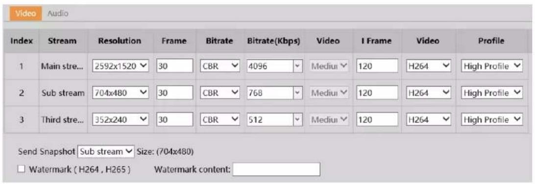 Speco Technologies O4BLP2M - Video / Audio Configuration - 1