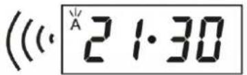 ((· 21·30