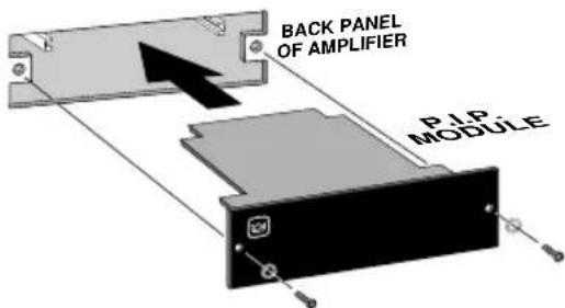 BACK PANEL OF AMPLIFIER PIP MODULE