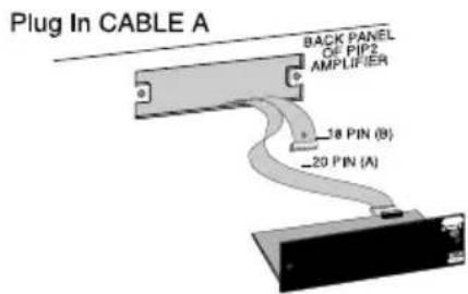 CROWN Screen Array PIPS - Install the PIP into the Amplifier - 2