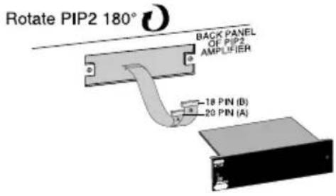 CROWN Screen Array PIPS - Install the PIP into the Amplifier - 1