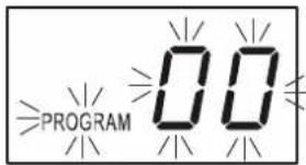 PROGRAM 00