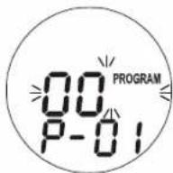 Emerson PD9814 - Programmed Playback - 1