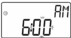 6:00 AM