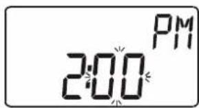 PM 2:00