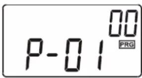 P-01 00 PRG