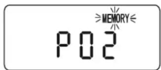 ≥MEMORY≤ P02