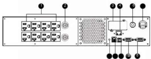 Diagram of an electronic device rack with labeled ports and connectors, showing internal components like switches, ports, and connectors.