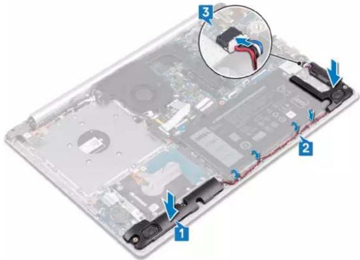 DELL Inspiron 3595 - Procedure - 1