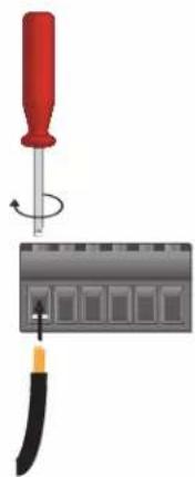 Stewart AV30MX-2 - Output Connections - 1