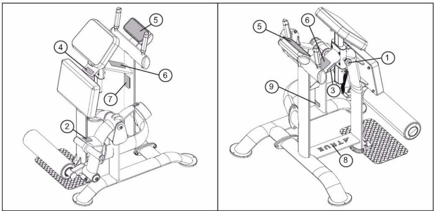 True PLS1300 - DIMENSIONS AND WEIGHTS - 1