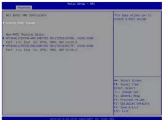 Supermicro SuperServer SYS-211GT-HNTR - Enabling NVMe RAID - 7