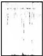 XEROX Phaser 840 - Print Quality Problems Solution Instructions - 4
