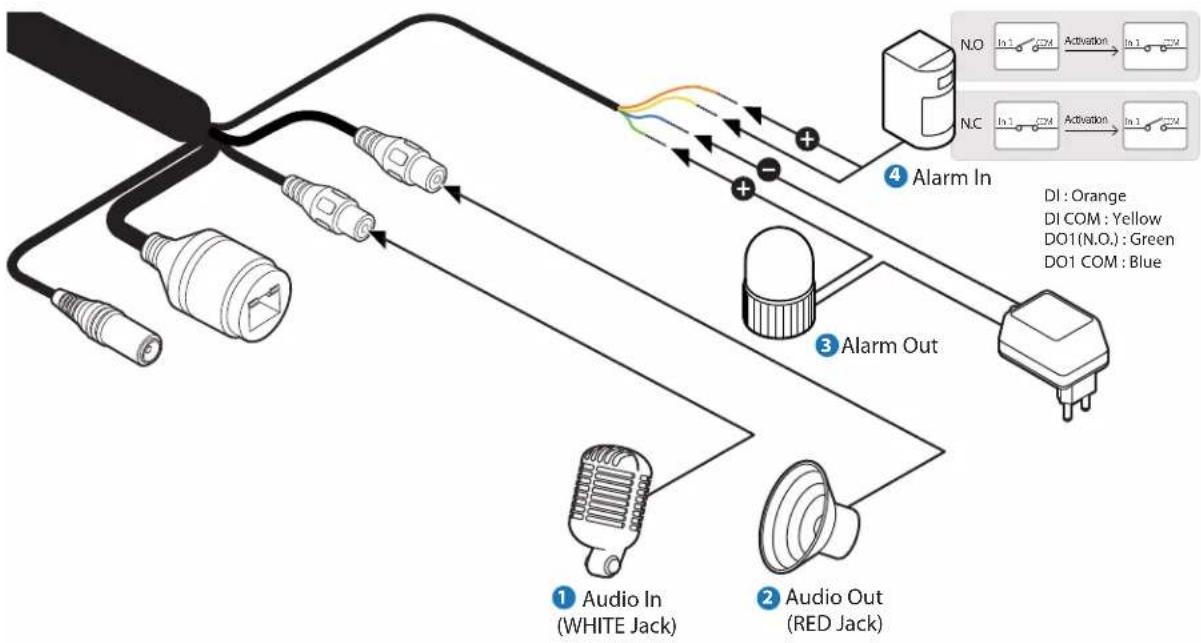 Digital Watchdog MEGApix CaaS DWC-MB44LPRWC - Installation - Cabling - 1
