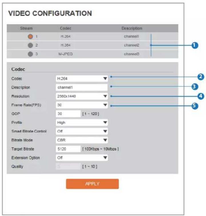 Digital Watchdog MEGApix CaaS DWC-MB44LPRWC - Setup - Video & Audio Setup Video Configuration - 1