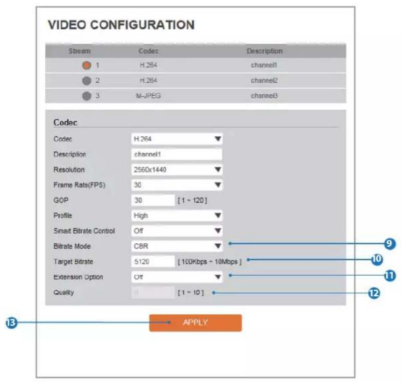 Digital Watchdog MEGApix CaaS DWC-MB44LPRWC - Setup - Video & Audio Setup Video Configuration - 1