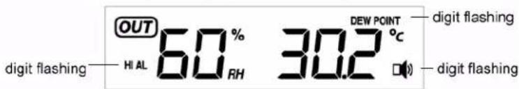Ambient Weather WS-1075 - Outdoor Temperature/ Wind Chill / Dew Point Alarm - 2