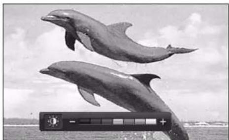 LG 42LY3DE - BRIGHTNESS ADJUSTMENT - 2