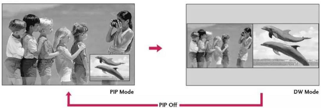 LG 42LY3DE - Watching PIP/Double Window - 1