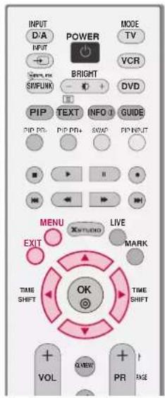 LG 42LY3DE - Setting up your Password - 2