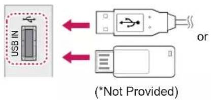 LG 47CS669C - USB connection - 1