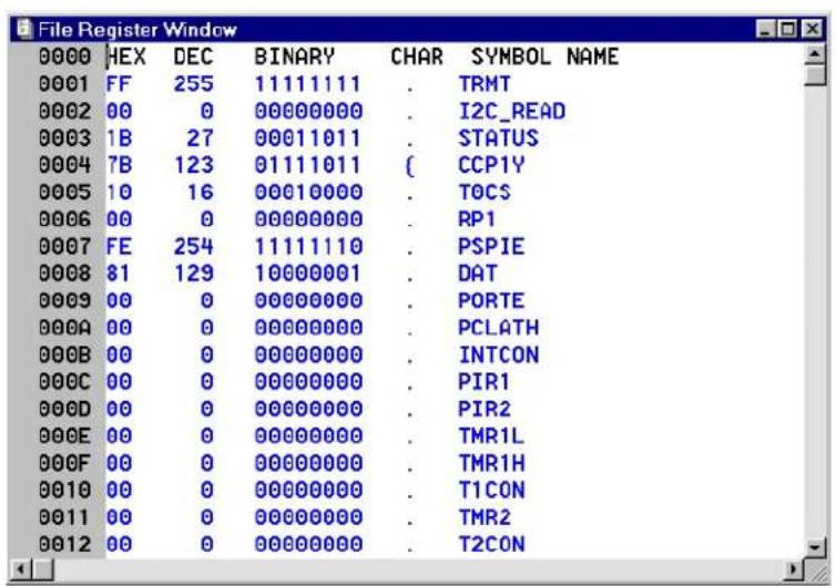 Microchip PIC16CR65 - File Registers - 1