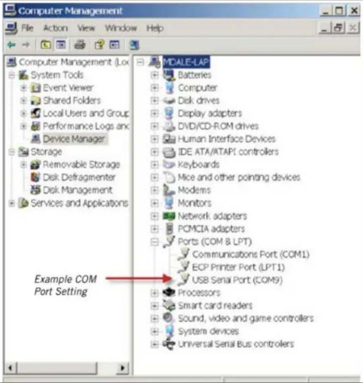 Microchip RN41XV - CONFIGURE THE MODULE USING A TERMINAL EMULATOR - 1