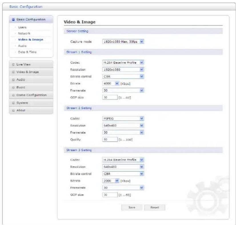 Costar CDI2112PZ - 3) Video &amp; Image - 1