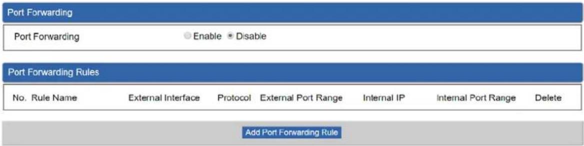 Planet LCG-300W - Port Forwarding - 1